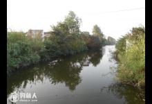 四季钓鳊鱼技巧，掌握鱼性是关键