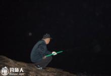 夏季钓鲤鱼没口的五个原因