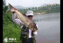 再谈手竿钓鲢鳙的四个实用技巧