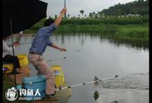 滑口与轻口鱼的钓灵、钓顿运用