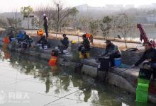 养殖塘声音嘈杂钓草鱼的技巧
