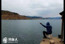 夏天钓鲤鱼的最佳天气选择