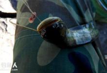 民间传统懒汉钓鲶鱼法介绍