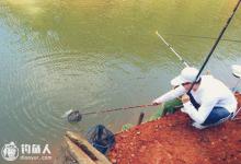 水库手竿钓鲤鱼的心得技巧分享