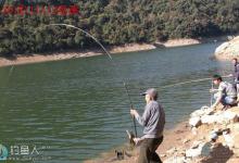 初冬钓鲫鱼的饵料配方、线组与调漂技巧