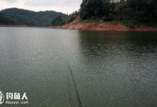 水库与黑坑钓草鱼的小窍门