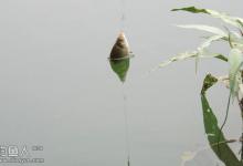 浅谈冬钓小鲫鱼的饵料、钓法与线组