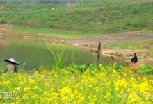 春季走钓鲫鱼技巧（水域、钓位、钓法）