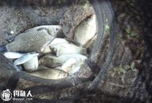 钓白鲫鱼的四个实用技巧