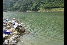 江河夏钓草鱼的选时选点与垂钓技法