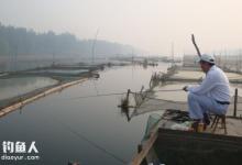 自然水域筏钓鲫鱼的心得体会