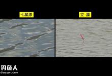 自然水域抛竿守钓草鱼的实战技巧分享