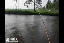 放流钓法流水钓鲫鱼技巧