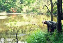 野钓鲫鱼的打窝用饵技巧及垂钓方法