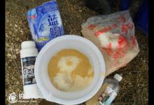 春季钓鲫鱼的开饵技巧全解析