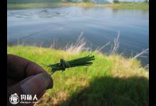 海竿草饵的懒钓草鱼法介绍