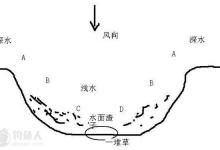 浅谈冬春水库钓鲫鱼技巧