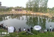 池塘春钓鲤鱼的四个技巧和注意事项