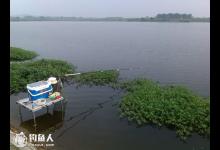 春季鳊鱼的钓点、钓具选择与施钓技巧