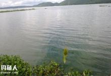 非王十余年的罗非鱼钓技秘诀