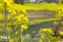 早春垂钓鲫鱼的五适五选