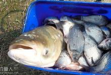 冬钓鲫鱼的五个误区，值得一看