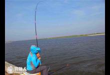 库钓鲢鱼、青鱼、鲟鱼的操控技法详解