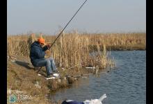 冬钓鲫鱼的钓技钓法与选时选点