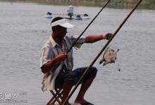 甲鱼的生活习性以及钓法解析