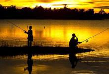 炎热夏日钓淡水鲈鱼的选位技巧