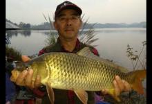 夏季水库钓鲤鱼技巧（选饵选点钓法）