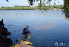 野钓鲤鱼需要注意的四个问题