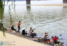 钓友分享野钓鲫鱼、鲤鱼经验