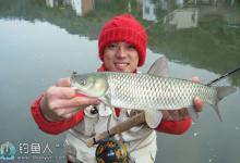 初冬风天钓大草鱼的五大技巧