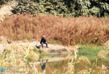 秋末初冬垂钓鲫鱼的技巧