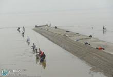 钱塘江大潮时垂钓海鲻鱼的三大技巧