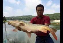 夏季钓鲤鱼的技巧总结与饵料配方