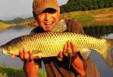 夏季钓草鱼的鱼情解析