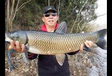 各地“骨灰级”的独家垂钓秘籍