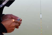 快乐垂钓频道三周年会上钓获17斤大红鲤鱼