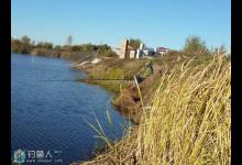 深秋初冬时节钓鲫鱼的技巧全解析