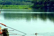自然水域悬坠钓草鱼的四个技巧