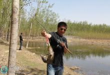 野钓黑鱼的五个实用技巧