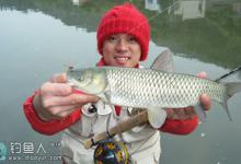 夏季用青草浮钓草鱼（钓位、布窝、钓饵、钓法）