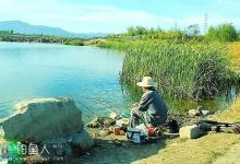 秋季钓鲫鱼的钓组选择与技巧