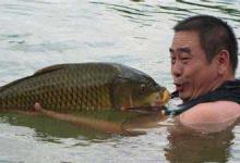 夏季钓鲤鱼需要掌握的一些技巧