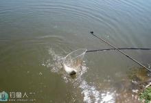 手竿浮钓鲢鳙的6大技巧总结