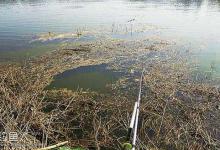 早春钓野生鲫鱼的五大要素