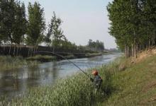夏季野河草洞钓鲫鱼六个技巧