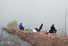 水库早春钓鲫鱼的一些技巧